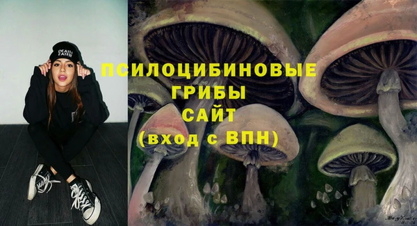 бутират Краснослободск