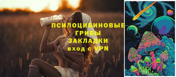 твердый Весьегонск