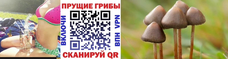 Галлюциногенные грибы GOLDEN TEACHER  цены наркотик  Красноуфимск 