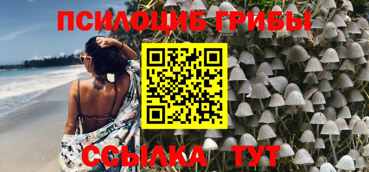 цены   Псилоцибиновые грибы Magic Shrooms  Красноуфимск  Псилоцибиновые грибы мицелий 